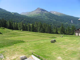 Achat/Vente -  - Appartement - LANSLEVILLARD