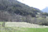 Achat/Vente - Terrain - Risoul - 05600