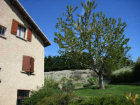 Achat/Vente -  - Maison - Embrun