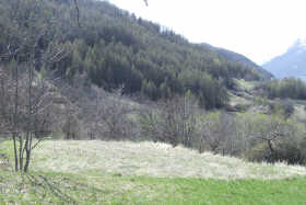 Achat/Vente -  - Terrain - Risoul