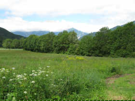 Mon Terrain à Bâtir  - 3 - Saint-Firmin - VALGAUDEMAR, proche ST FIRMIN