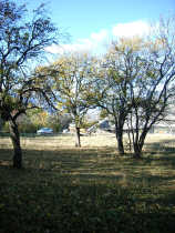 Achat/Vente -  - Terrain - Saint-André-d'Embrun
